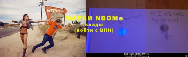 прущие грибы Пестово